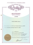 Патент на Захват колес. Патент №98992.